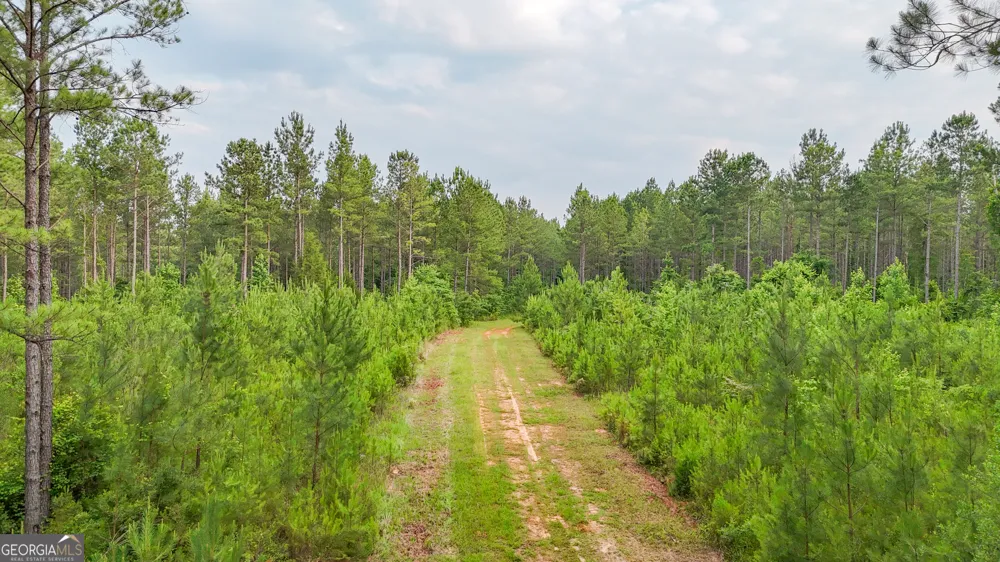 3644-3792 Fortune Hole RD Hamilton, GA 31811
