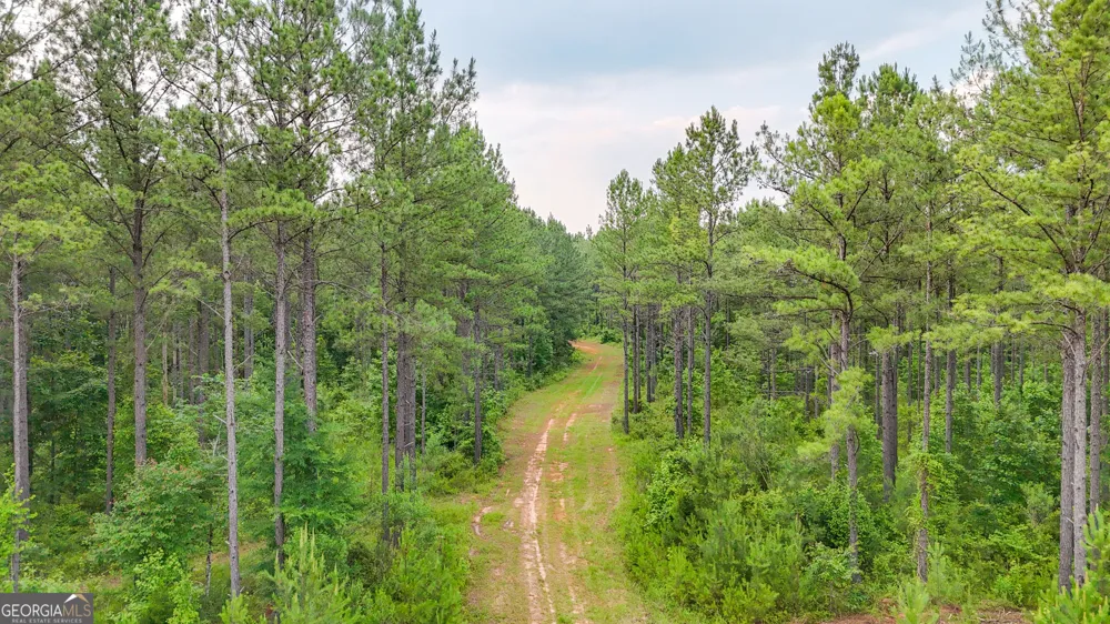 3644-3792 Fortune Hole RD Hamilton, GA 31811