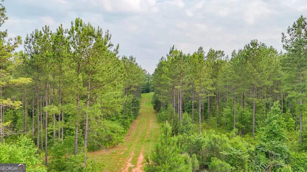 3644-3792 Fortune Hole RD Hamilton, GA 31811