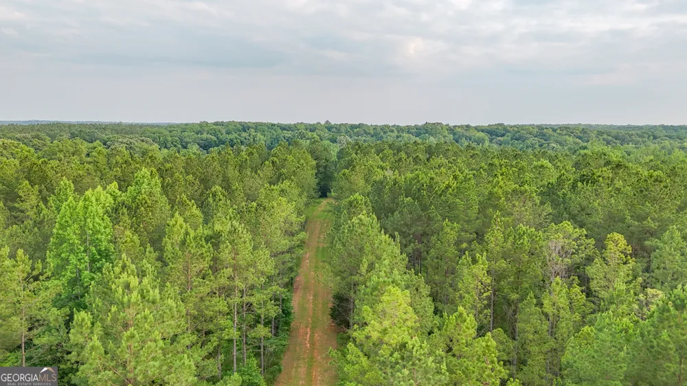3644-3792 Fortune Hole RD Hamilton, GA 31811