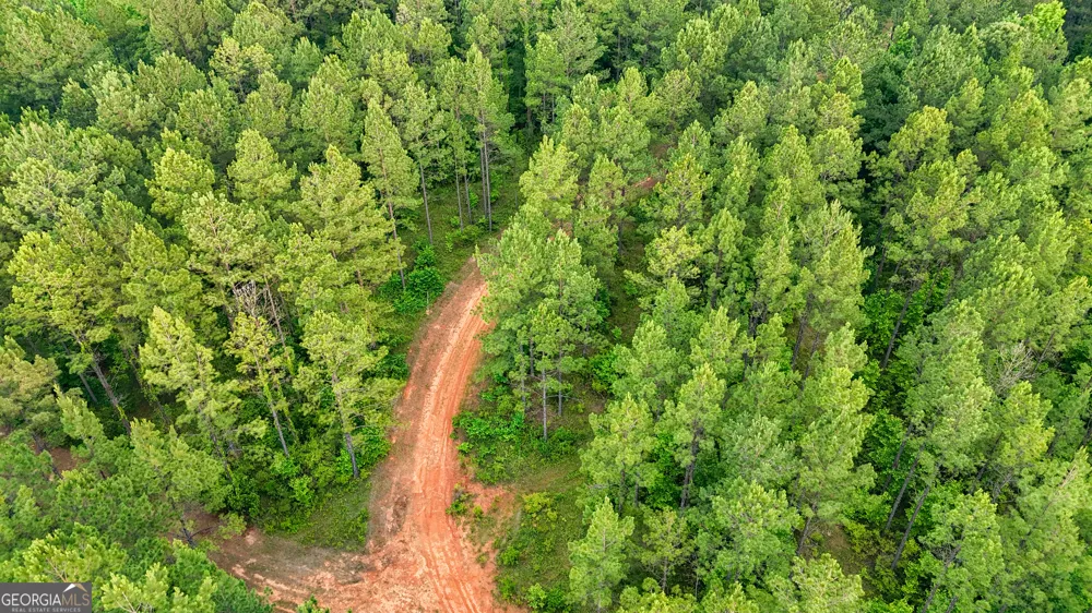 3644-3792 Fortune Hole RD Hamilton, GA 31811