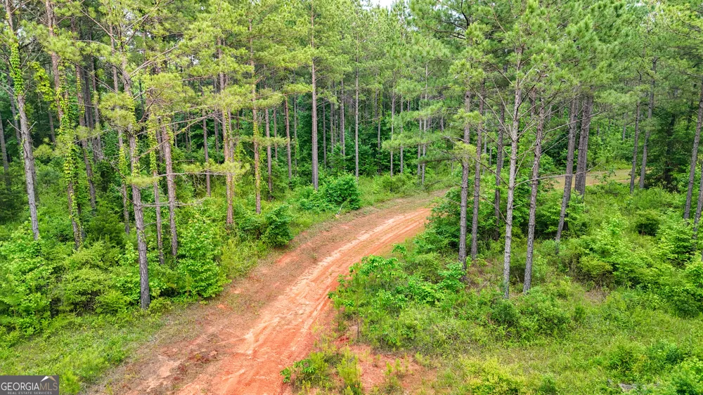 3644-3792 Fortune Hole RD Hamilton, GA 31811