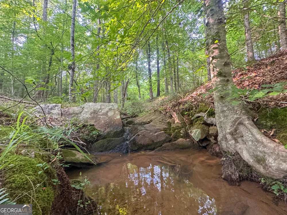 3644-3792 Fortune Hole RD Hamilton, GA 31811