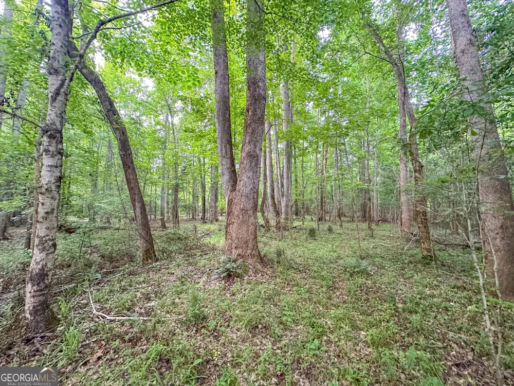 3644-3792 Fortune Hole RD Hamilton, GA 31811