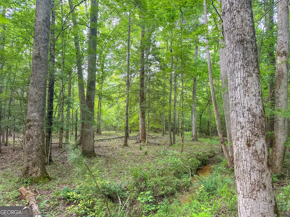 3644-3792 Fortune Hole RD Hamilton, GA 31811