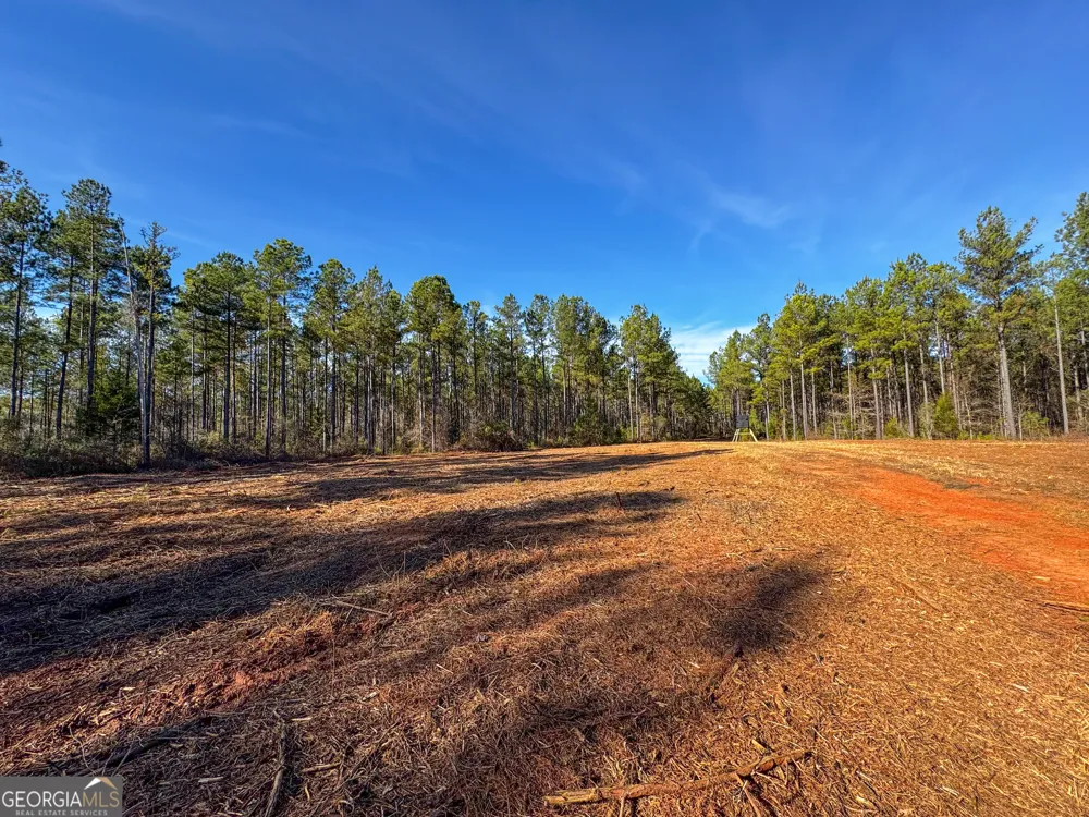 3644-3792 Fortune Hole RD Hamilton, GA 31811