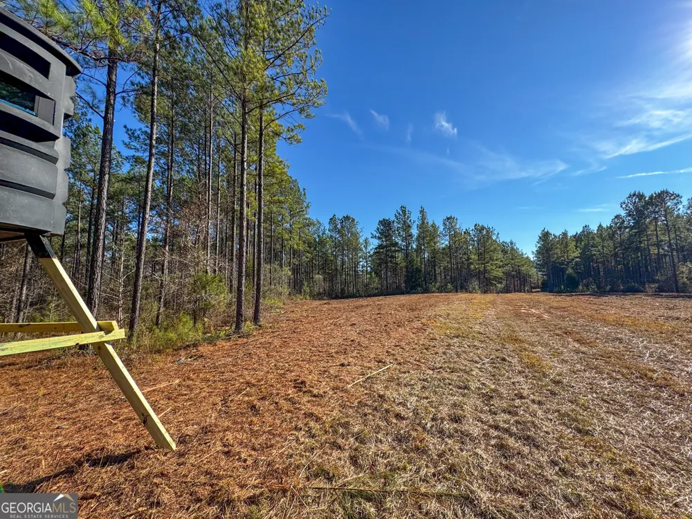 3644-3792 Fortune Hole RD Hamilton, GA 31811
