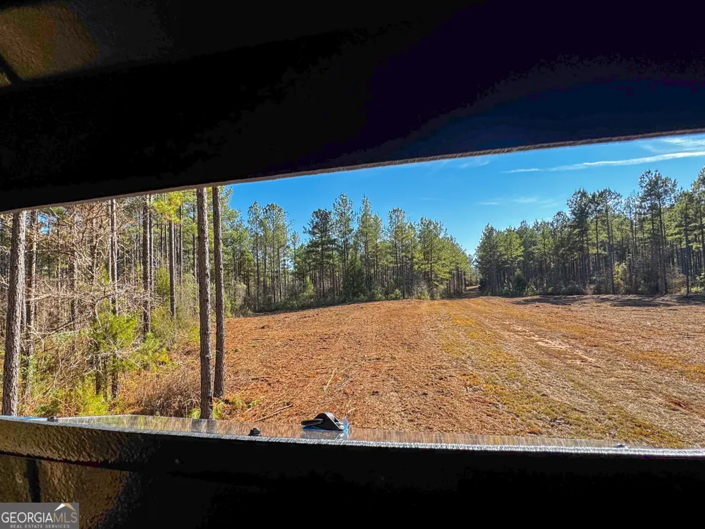 3644-3792 Fortune Hole RD Hamilton, GA 31811