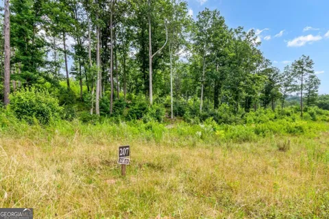 LOT 207 Oak Park DR