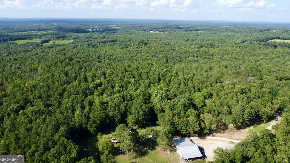 621 Rance Foster RD Bowdon, GA 30108