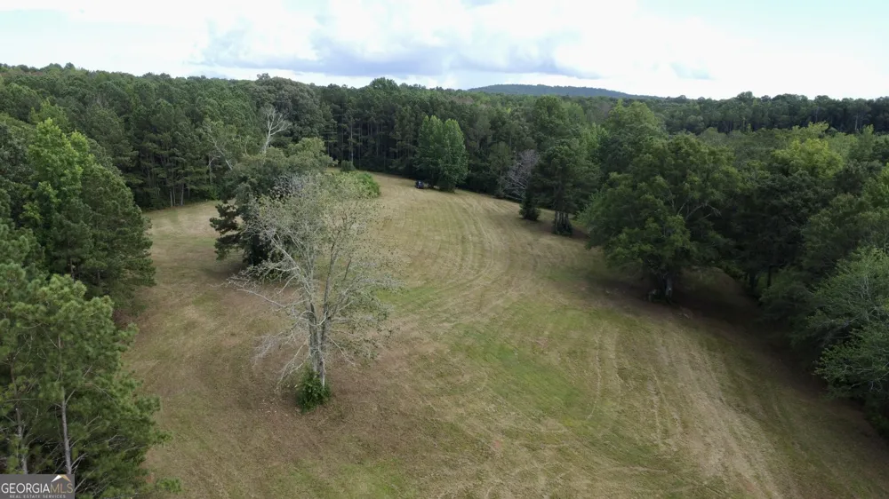 621 Rance Foster RD Bowdon, GA 30108