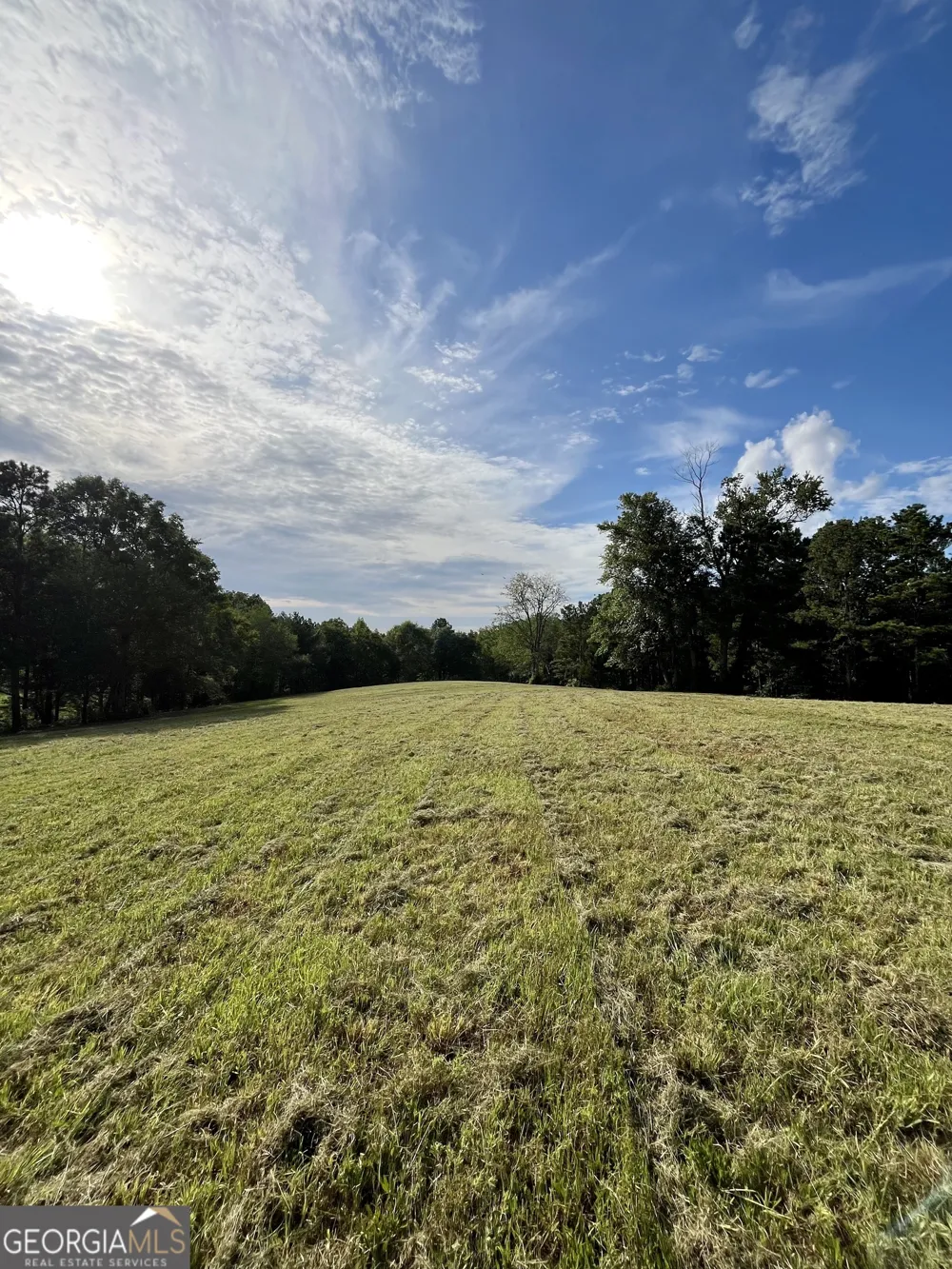 621 Rance Foster RD Bowdon, GA 30108
