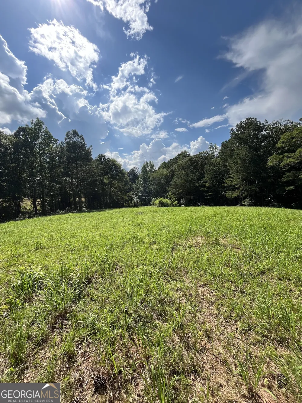 621 Rance Foster RD Bowdon, GA 30108