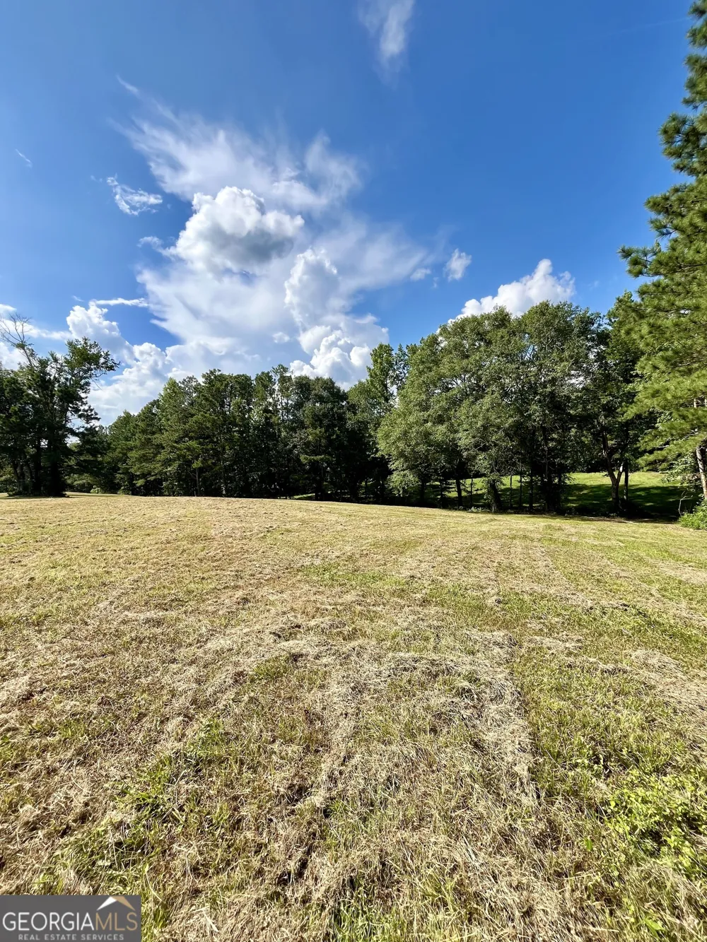 621 Rance Foster RD Bowdon, GA 30108