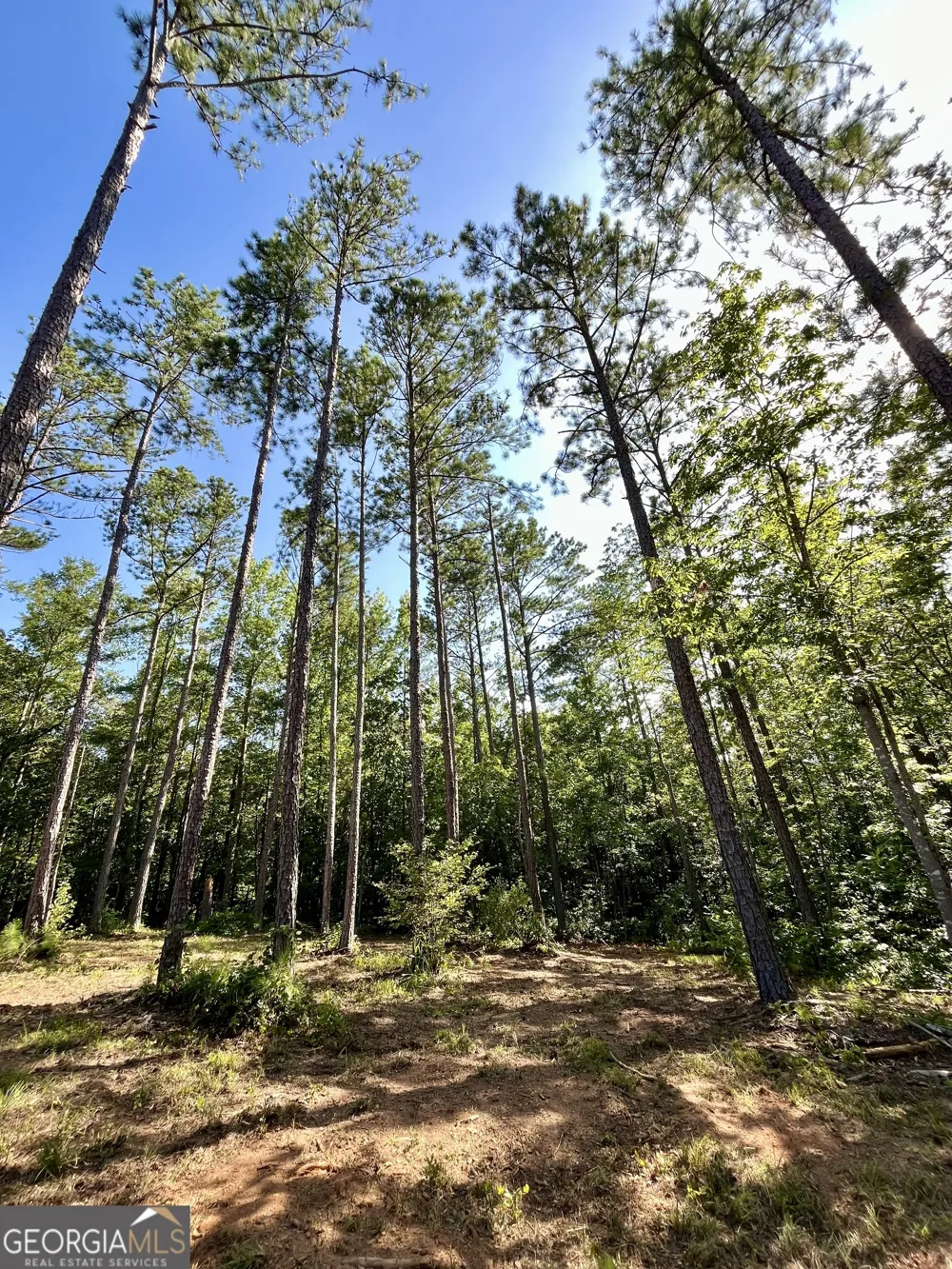 621 Rance Foster RD Bowdon, GA 30108