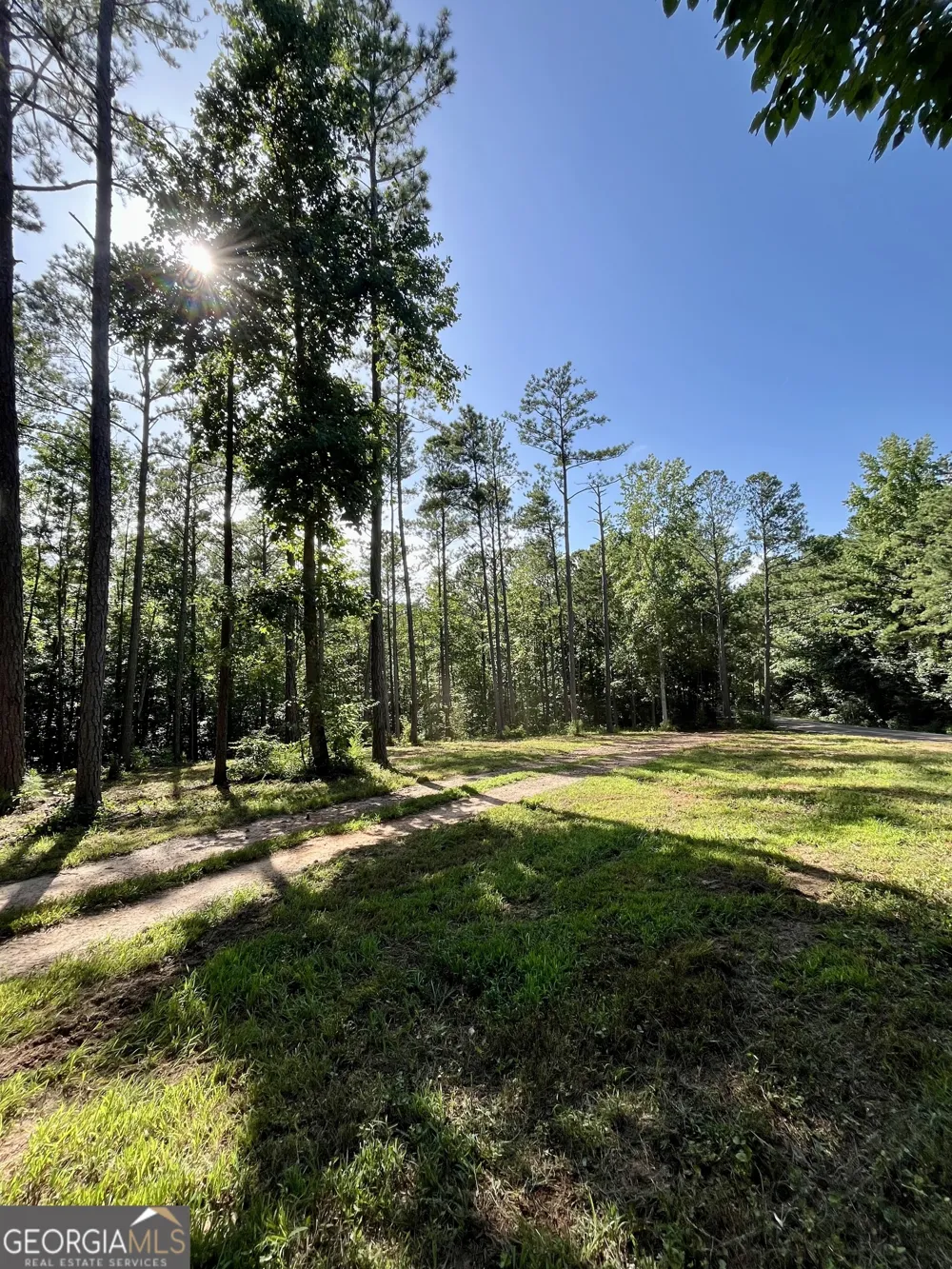 621 Rance Foster RD Bowdon, GA 30108