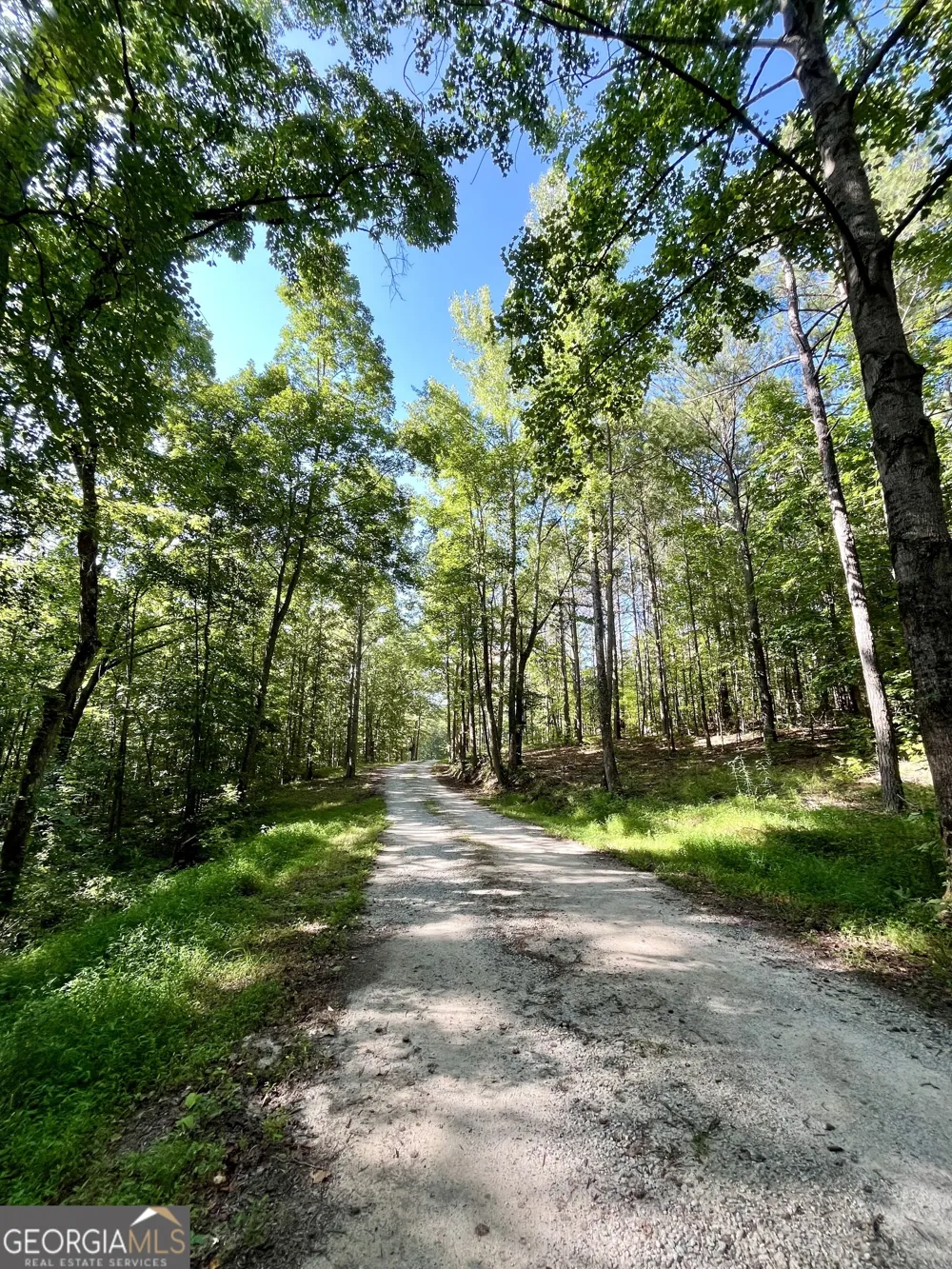 621 Rance Foster RD Bowdon, GA 30108