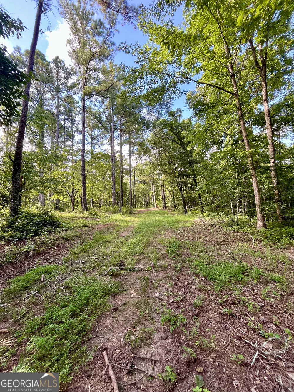 621 Rance Foster RD Bowdon, GA 30108
