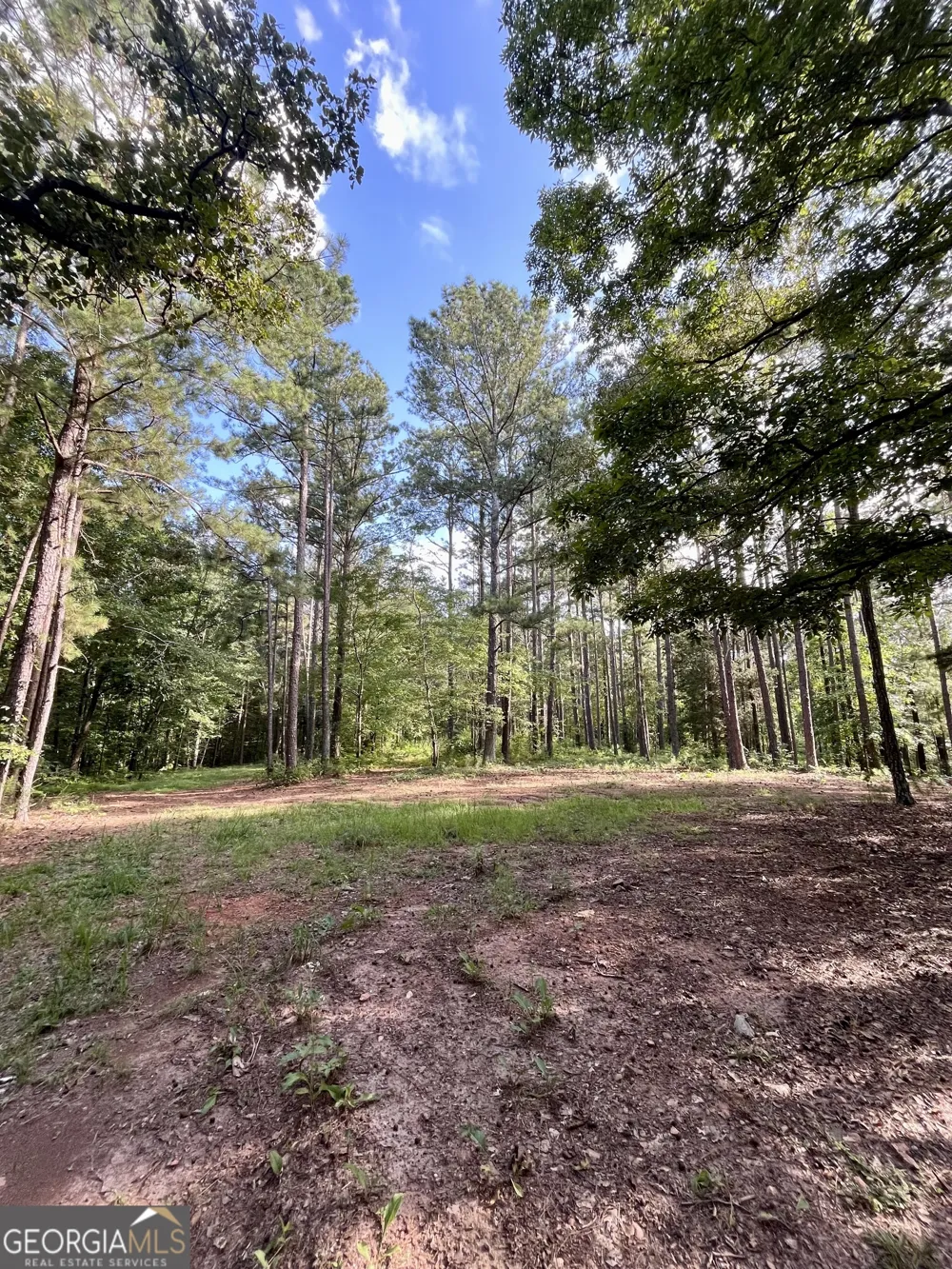 621 Rance Foster RD Bowdon, GA 30108