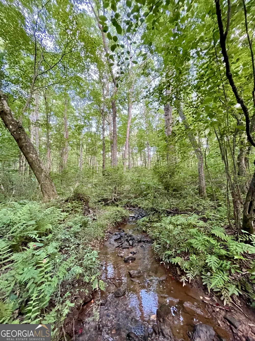 621 Rance Foster RD Bowdon, GA 30108