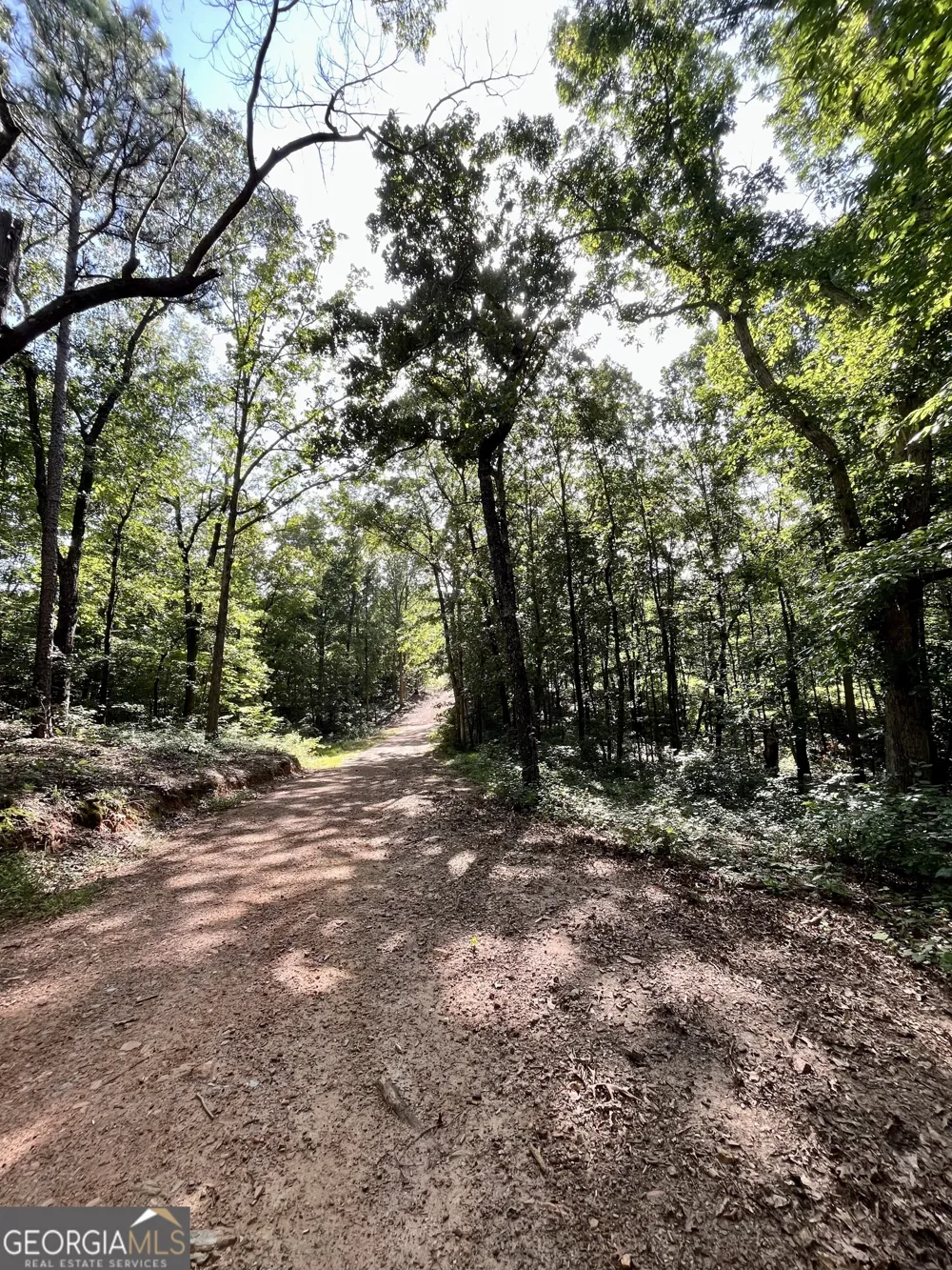 621 Rance Foster RD Bowdon, GA 30108