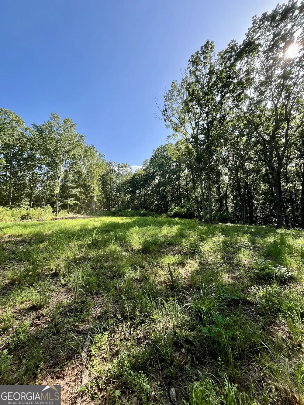 621 Rance Foster RD Bowdon, GA 30108