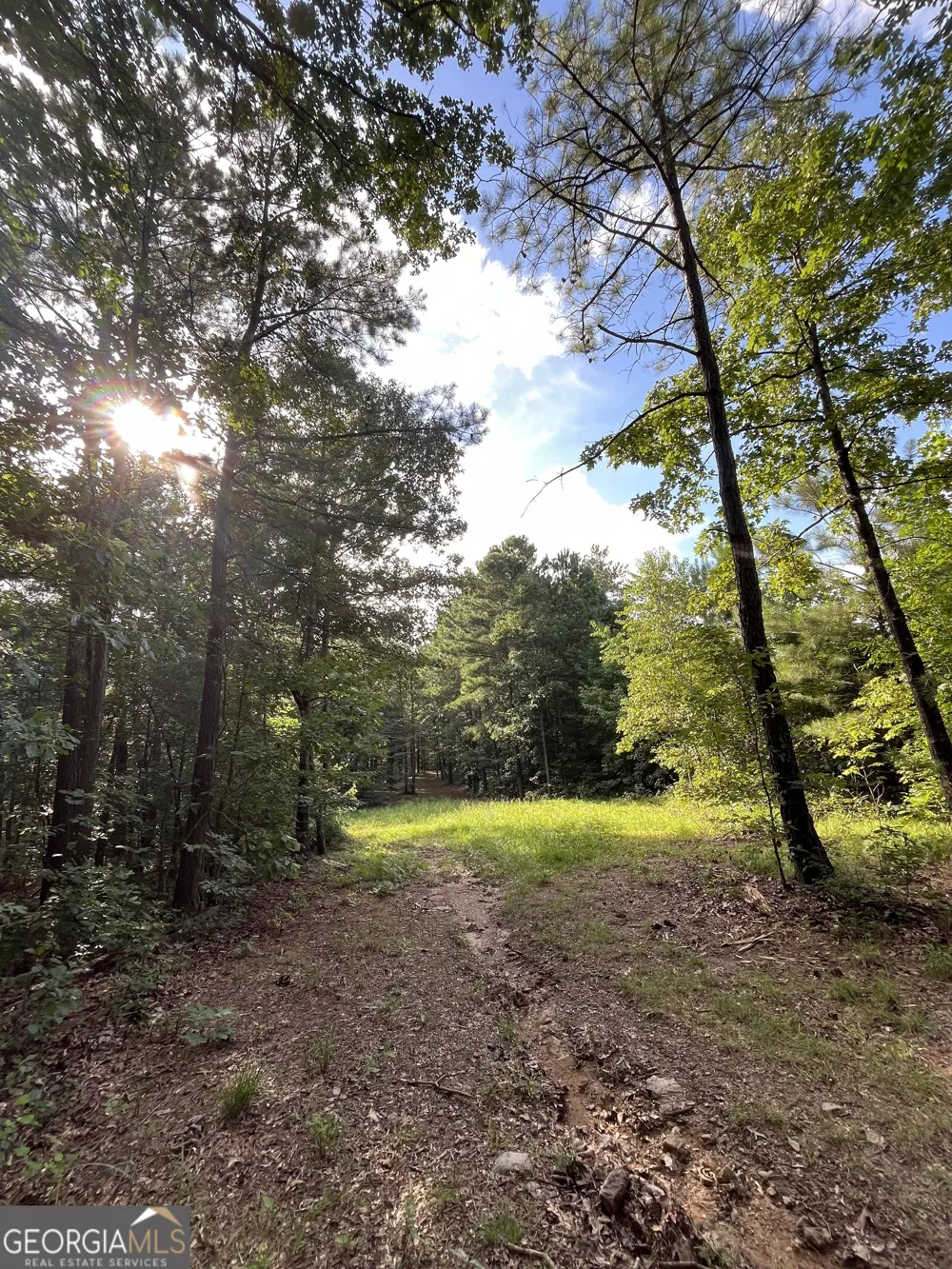 621 Rance Foster RD Bowdon, GA 30108