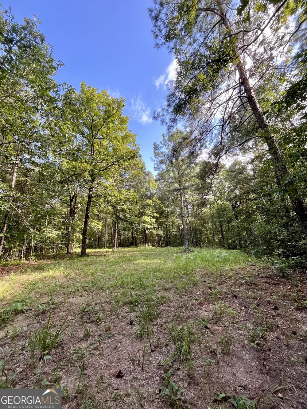 621 Rance Foster RD Bowdon, GA 30108