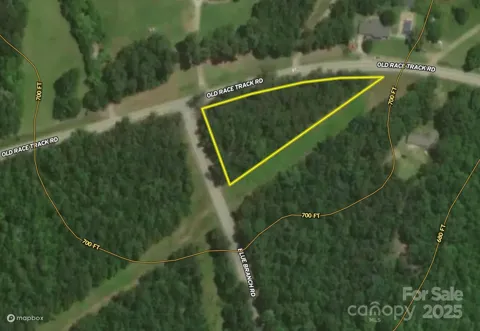 00 Blue Branch Road #Tract B