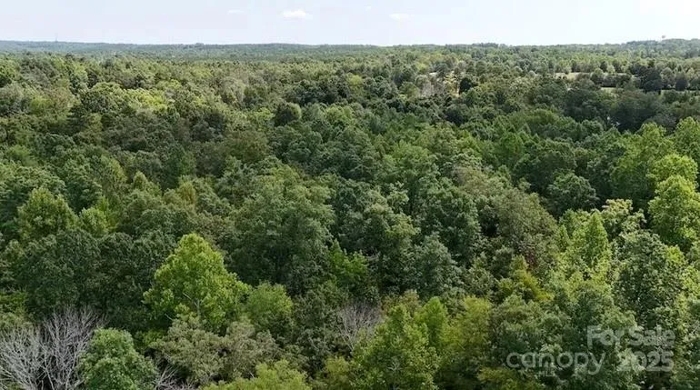 00 Blue Branch Road #Tract B Gaffney, SC 29340