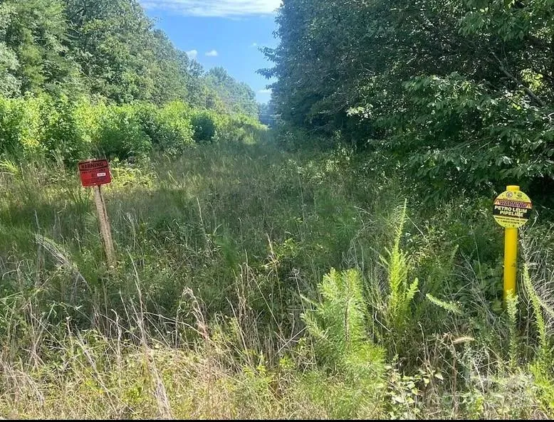 00 Blue Branch Road #Tract B Gaffney, SC 29340
