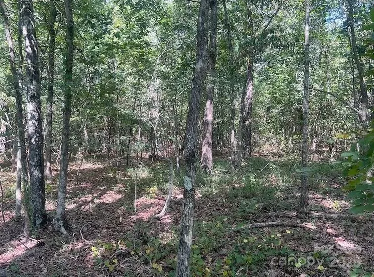 00 Blue Branch Road #Tract B Gaffney, SC 29340