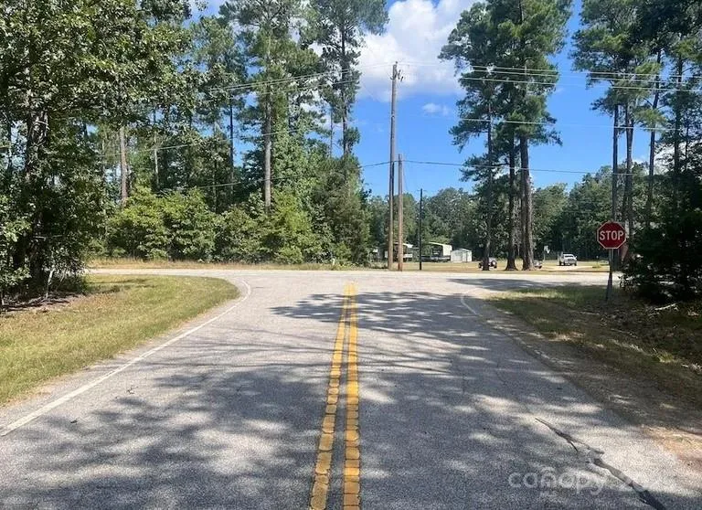 00 Blue Branch Road #Tract B Gaffney, SC 29340