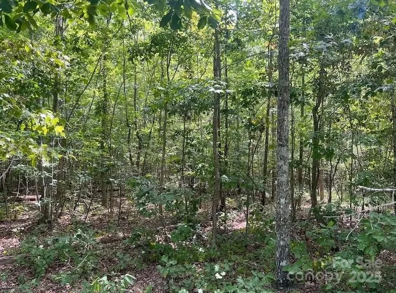 00 Blue Branch Road #Tract B Gaffney, SC 29340