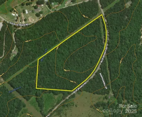 00 Blue Branch Road #Tract C
