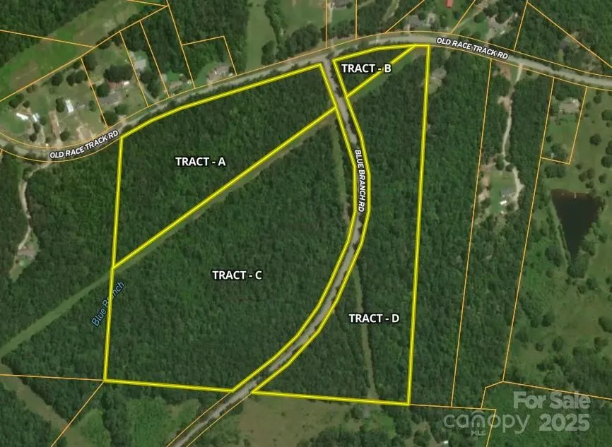 00 Blue Branch Road #Tract C Gaffney, SC 29340