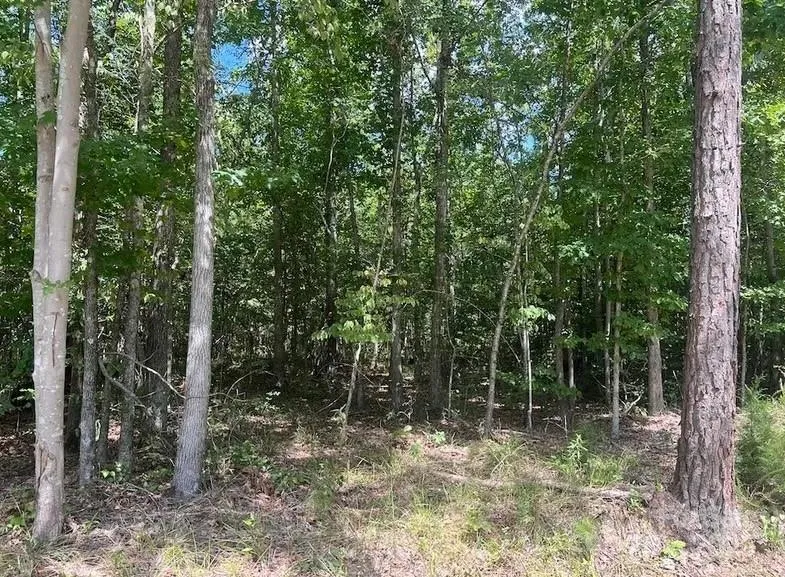 00 Blue Branch Road #Tract C Gaffney, SC 29340