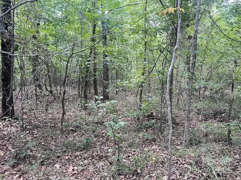 00 Blue Branch Road #Tract C Gaffney, SC 29340