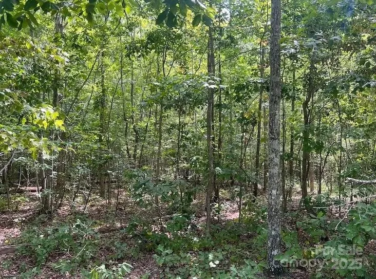 00 Blue Branch Road #Tract C Gaffney, SC 29340