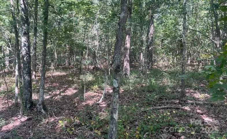 00 Blue Branch Road #Tract C Gaffney, SC 29340