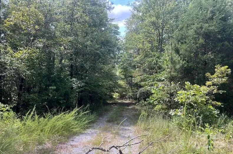 00 Blue Branch Road #Tract C Gaffney, SC 29340