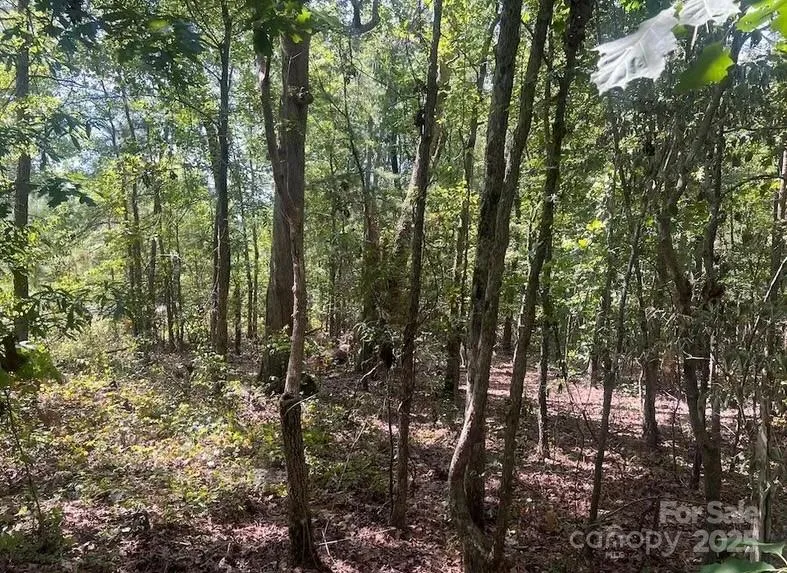 00 Blue Branch Road #Tract C Gaffney, SC 29340