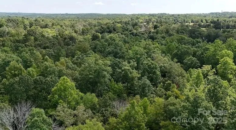 00 Blue Branch Road #Tract C Gaffney, SC 29340
