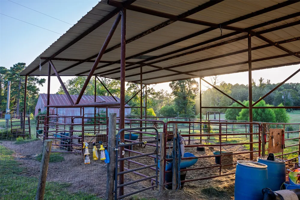 12701 FM 2010 Chandler, TX 75758