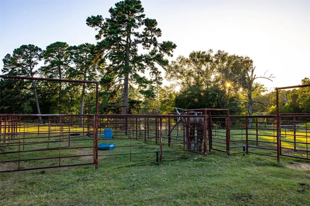 12701 FM 2010 Chandler, TX 75758