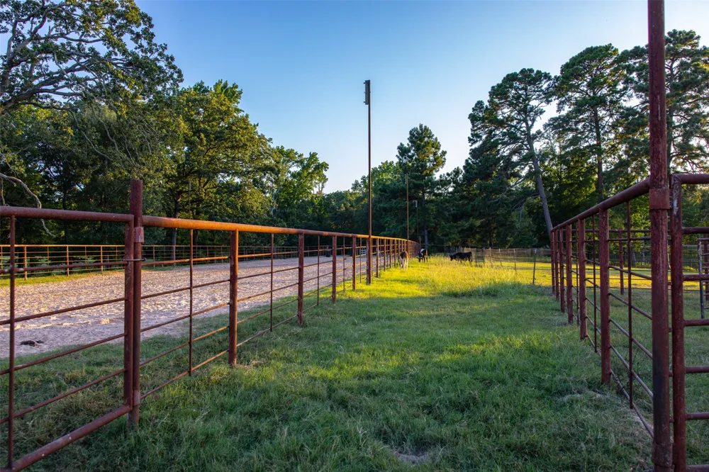 12701 FM 2010 Chandler, TX 75758