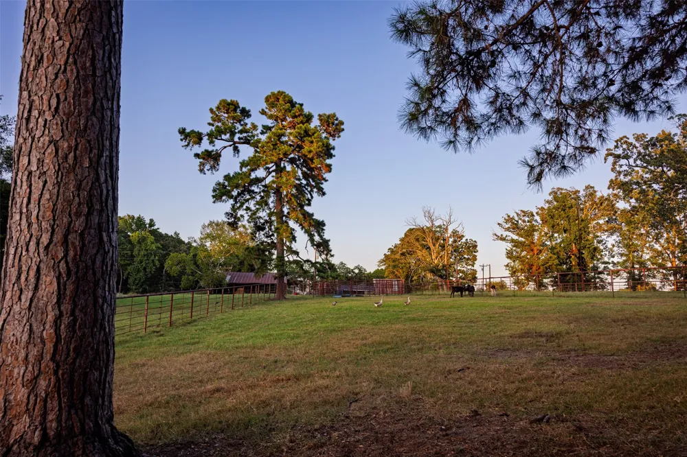 12701 FM 2010 Chandler, TX 75758