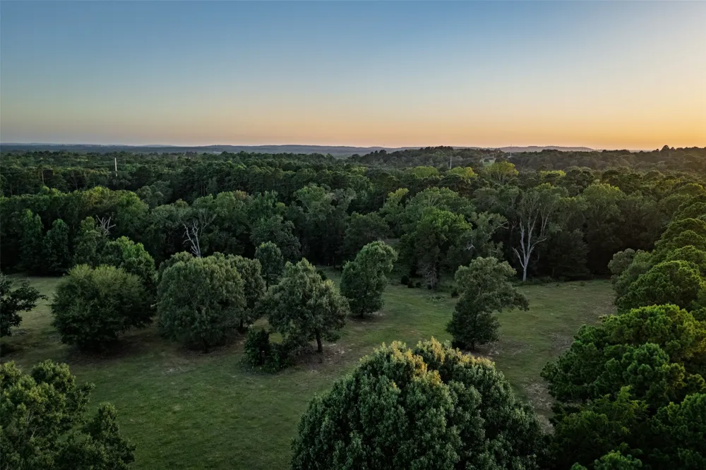 12701 FM 2010 Chandler, TX 75758