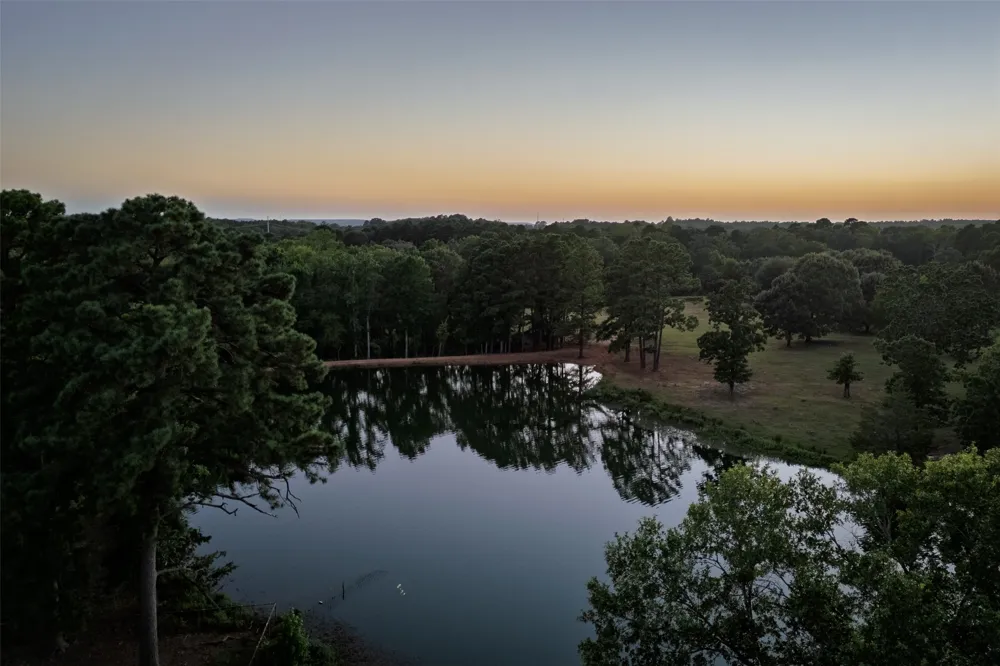12701 FM 2010 Chandler, TX 75758