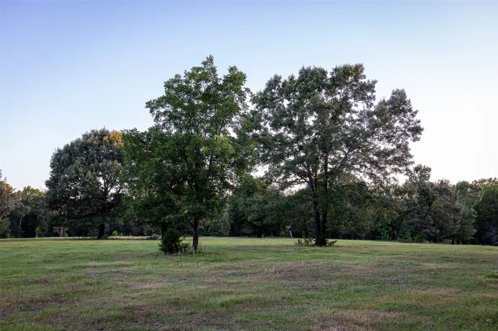 12701 FM 2010 Chandler, TX 75758